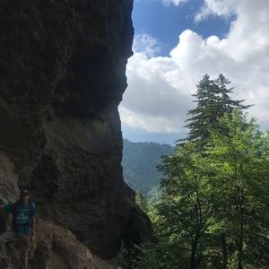 Meet your Posher, Justin